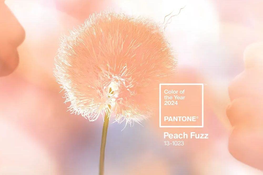 Peach Fuzz: el color del año 2024 de Pantone