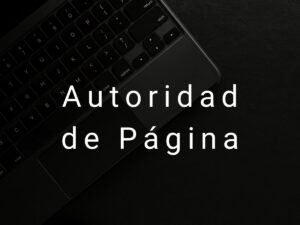 Autoridad de Página